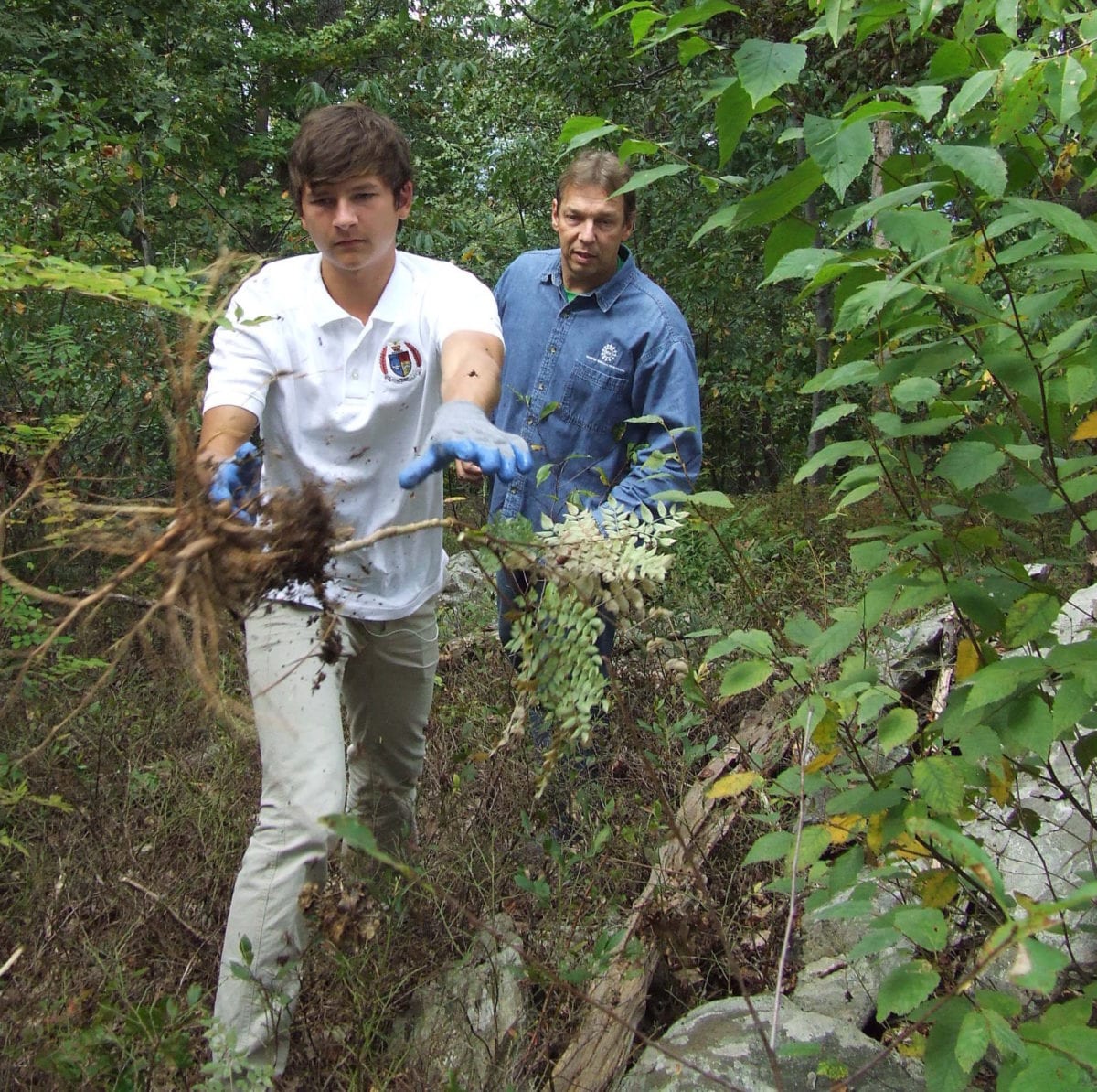 Invasive Species | Black Rock Forest