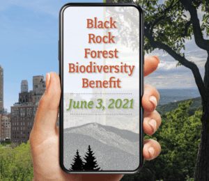Black Rock Forest Biodiversity Benefit BioBlitz 2021