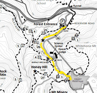 Black rock shop forest trail map