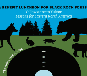 2022 Black Rock Forest Annual Luncheon Benefit