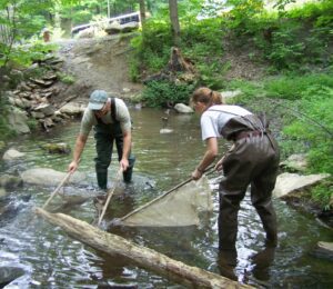 Life in the Pond: Vernal Pools