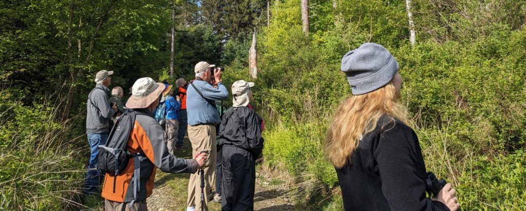 group visit information