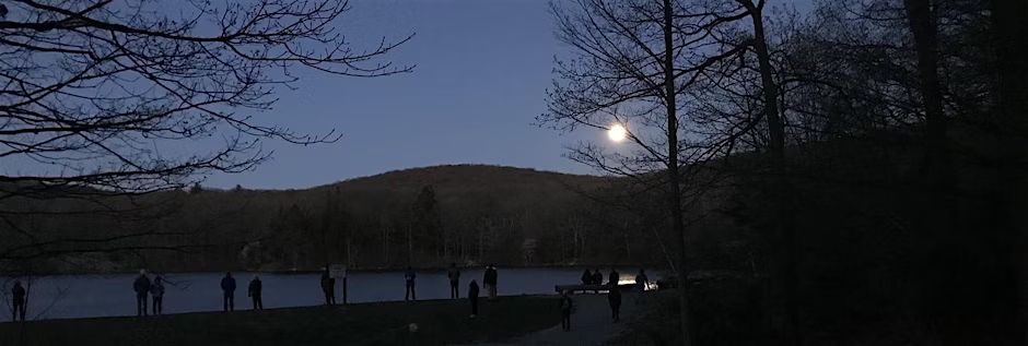 Silent Walk at Black Rock Forest