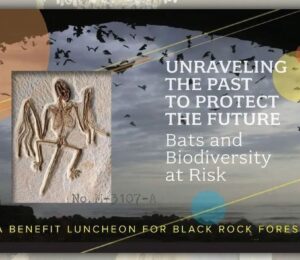 2025 Black Rock Forest Benefit Luncheon