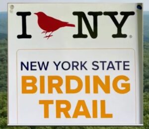 Trail Provides Affordable Birding Opportunities for All New Yorkers to “Get Offline, Get Outside”