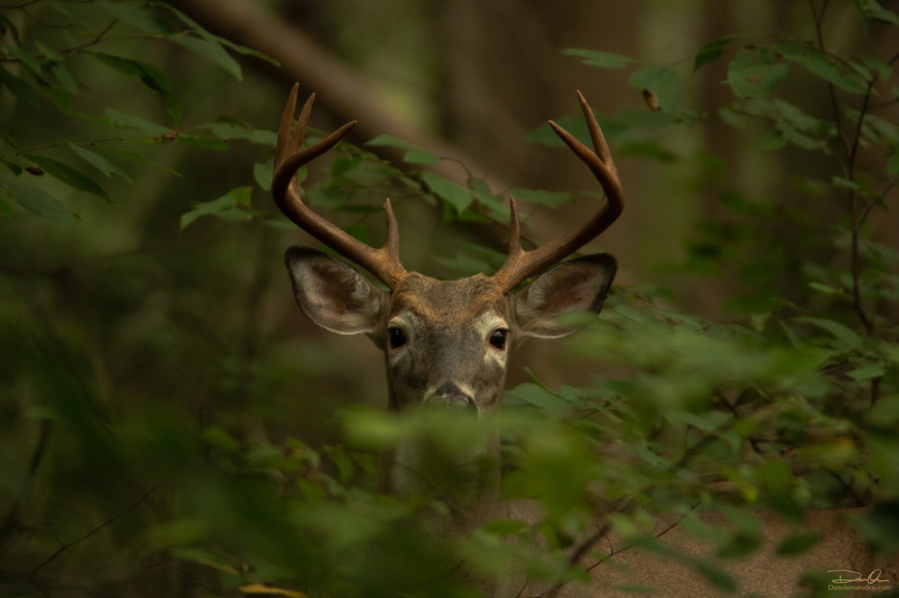 8.point surprise.9.20