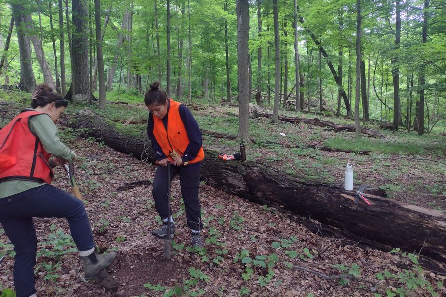 fund grant programs images