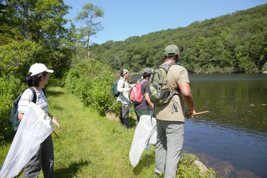 fund grant programs images