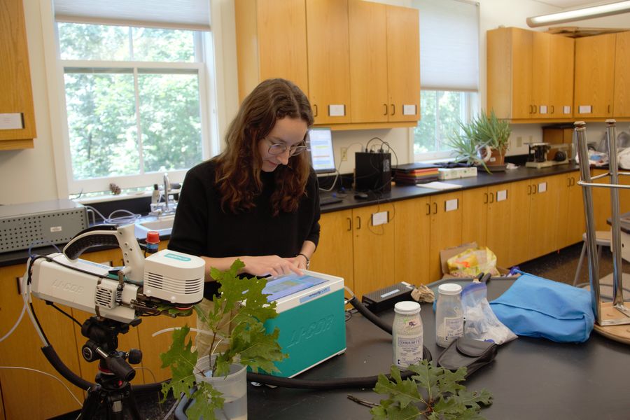 fund grant programs images