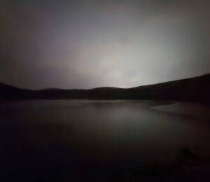 Light Rain, Dark Woods