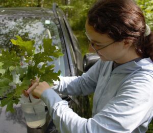Black Rock Forest awards three grants